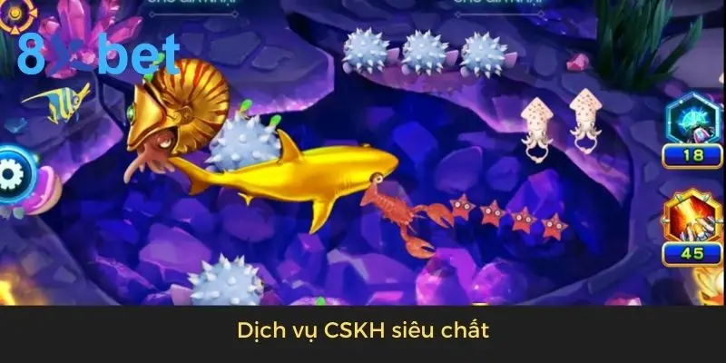 Dịch vụ CSKH siêu chất